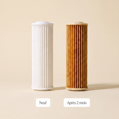 Filtre neuf vs après 2 mois d'utilisation